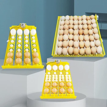 24 Olu Inkubators Mājputnu Inkubējamās Olas Inkubācijas Iekārta Ar Automātisku Olu Griežot Vistas, Paipalas Pīļu, Baložu Olas