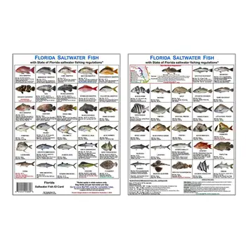 Zvejnieku Identifikācijas Kartes, Magnētiskās Kartes Ar Zivju Sugu Rokasgrāmata Florida Sālsūdens Zivju Identifikācijas Kartes Pludmales Doks